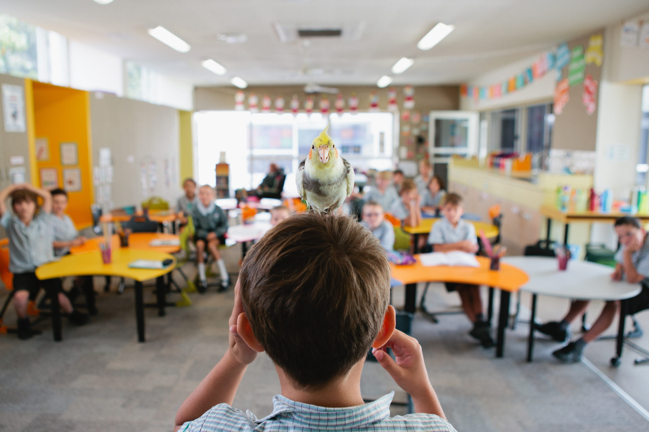 Lüften im Klassenzimmer